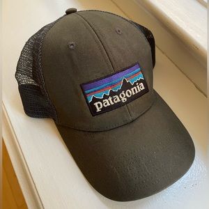 Patagonia Trucker Hat Low Profile Grey Colour